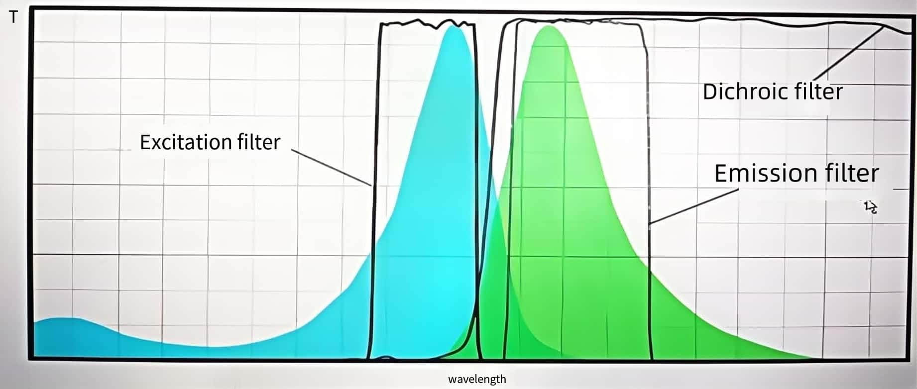 00 Enzyme-linked Immune Detector Optical Filters.jpg