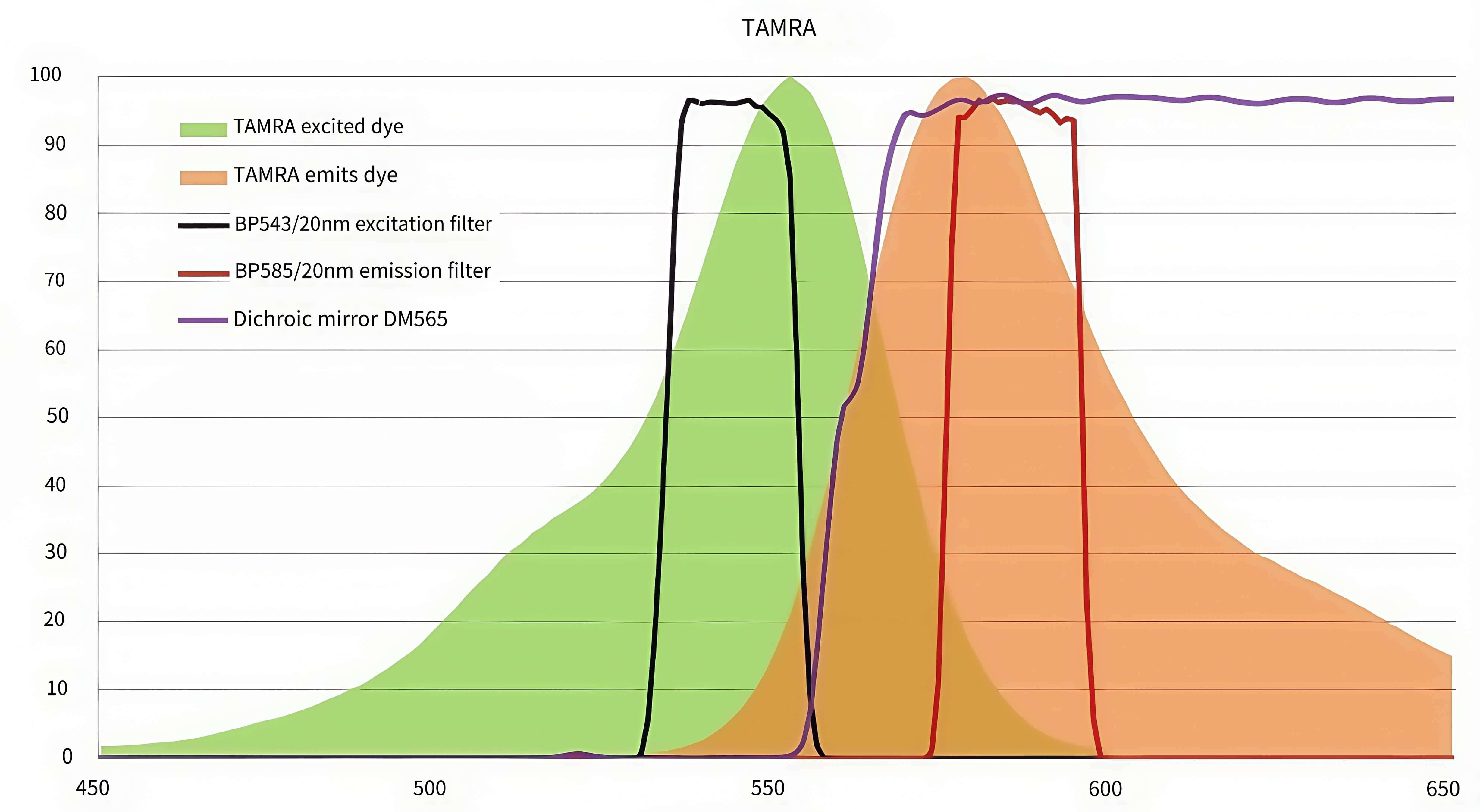 TAMRA Channel Fluorescence Analysis Filter .jpg