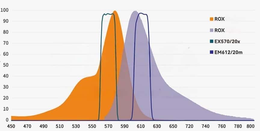 ROX Channel Fluorescence Analysis Filt.jpg