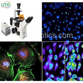 Fluorescence Microscope Filter